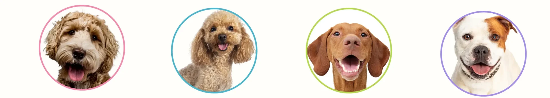 Two dogs are shown side by side with their faces in circles.