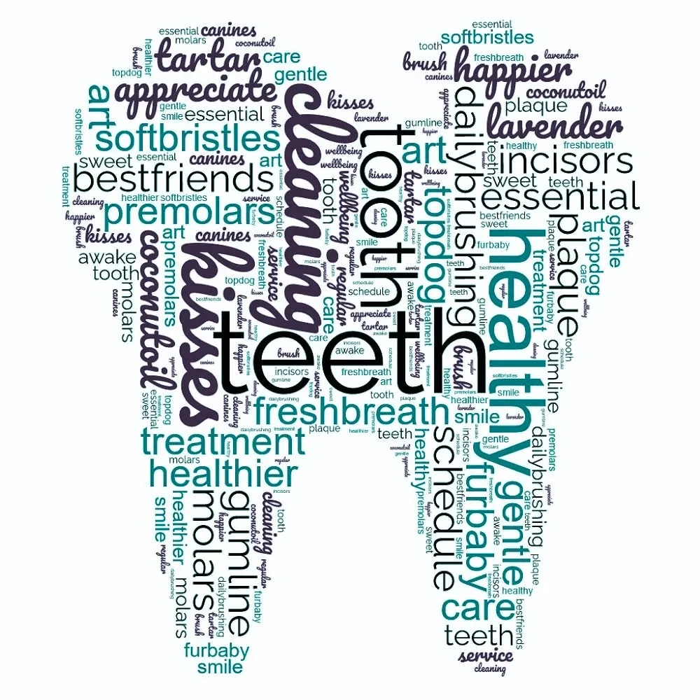 A word cloud of teeth with words like brushing, flossing and toothpastes.