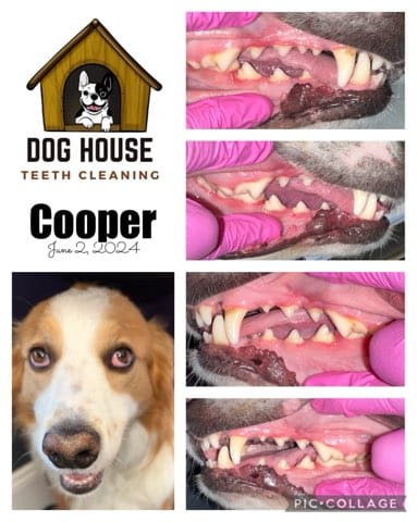 240602-cooper